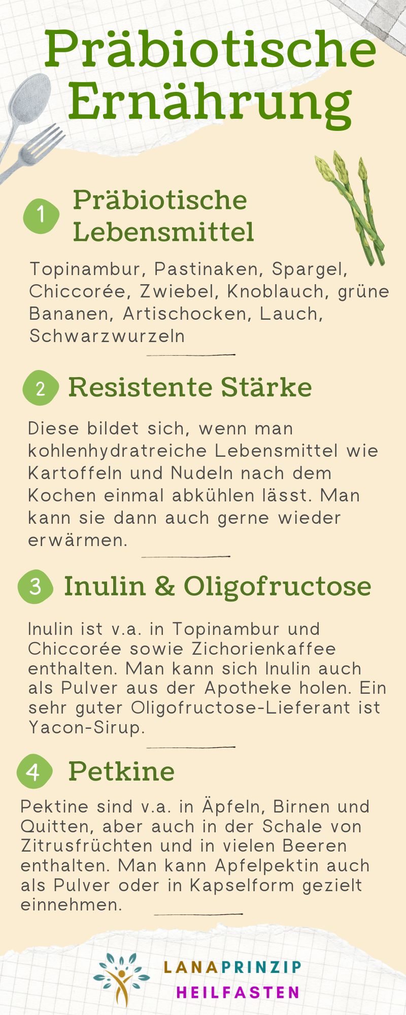 Eine Infografik, die erklärt in welchen Lebensmitteln Präbiotika enthalten sind.