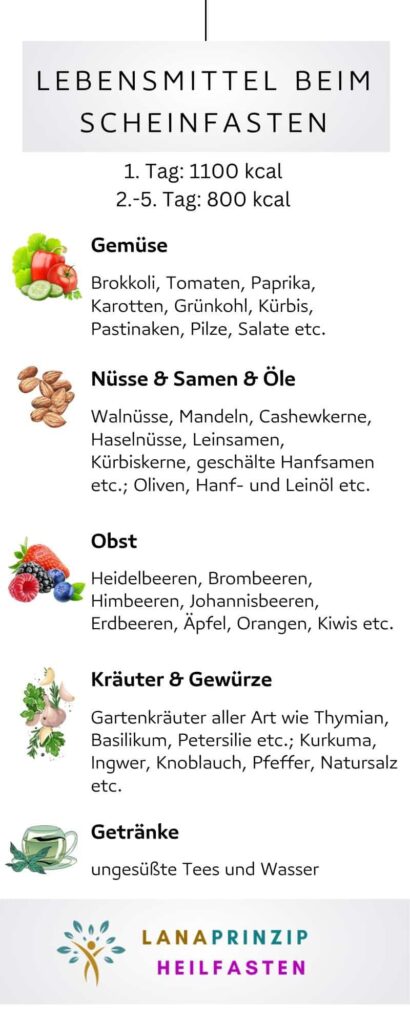 Infografik Anleitung Scheinfasten