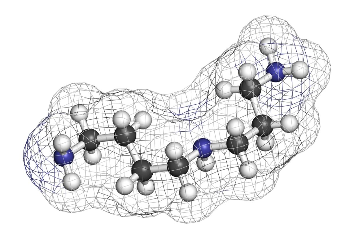 3D-Modell einer Molekülstruktur mit farbigen Atomen und Gitter.