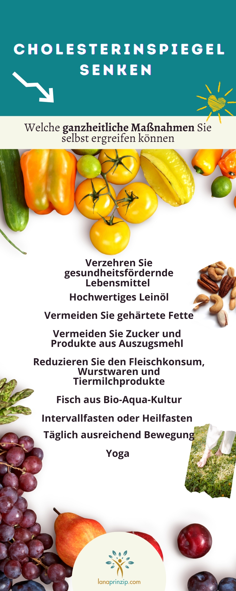 Eine Infografik, die zeigt, mit welchen gesundheitlichen Maßnahmen man den Cholesterinspiegel senken kann.