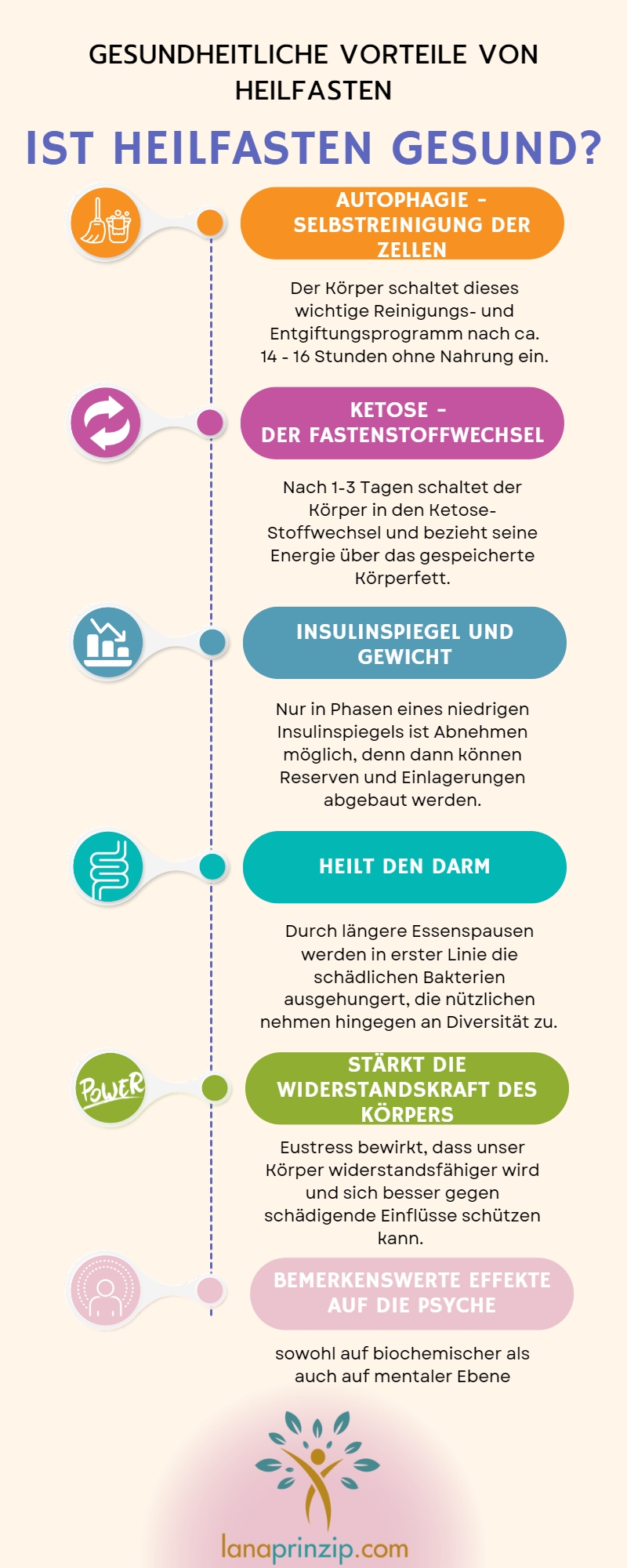 Eine Infografik, die die gesundheitlichen Vorteile von Heilfasten erklärt